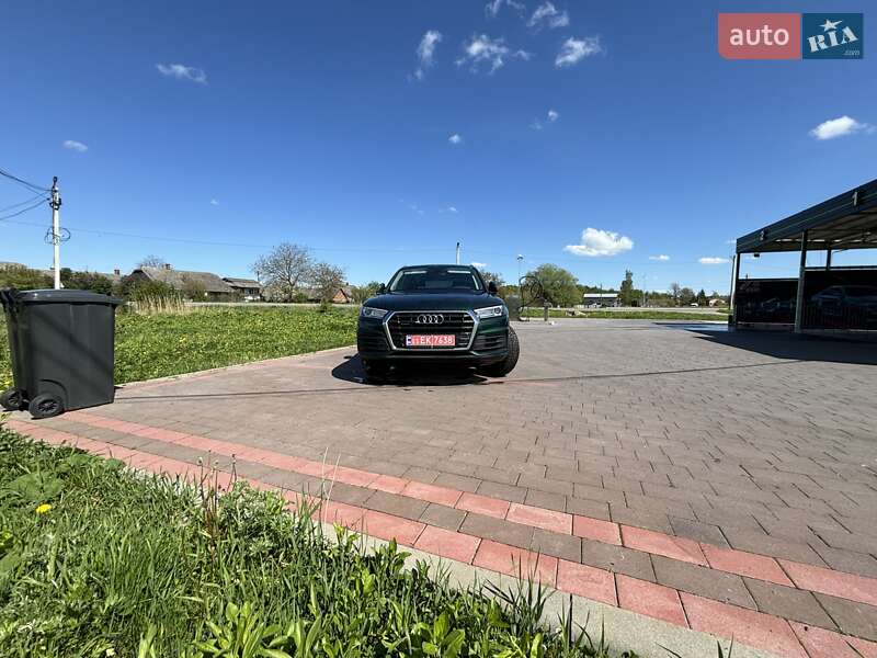 Внедорожник / Кроссовер Audi Q5 2019 в Львове