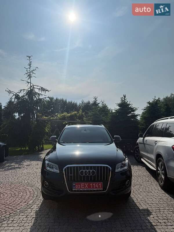 Внедорожник / Кроссовер Audi Q5 2013 в Владимире фото 2 Внедорожник / Кроссовер Audi Q5 2013 в Владимире