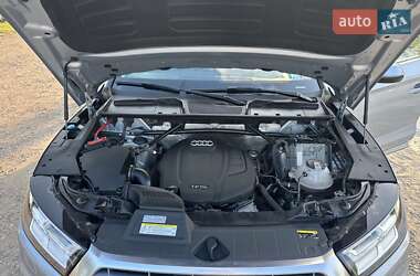 Внедорожник / Кроссовер Audi Q5 2019 в 