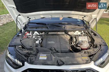 Внедорожник / Кроссовер Audi Q5 2023 в 