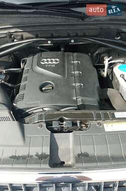 Внедорожник / Кроссовер Audi Q5 2017 в 