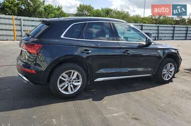 Внедорожник / Кроссовер Audi Q5 2024 в 