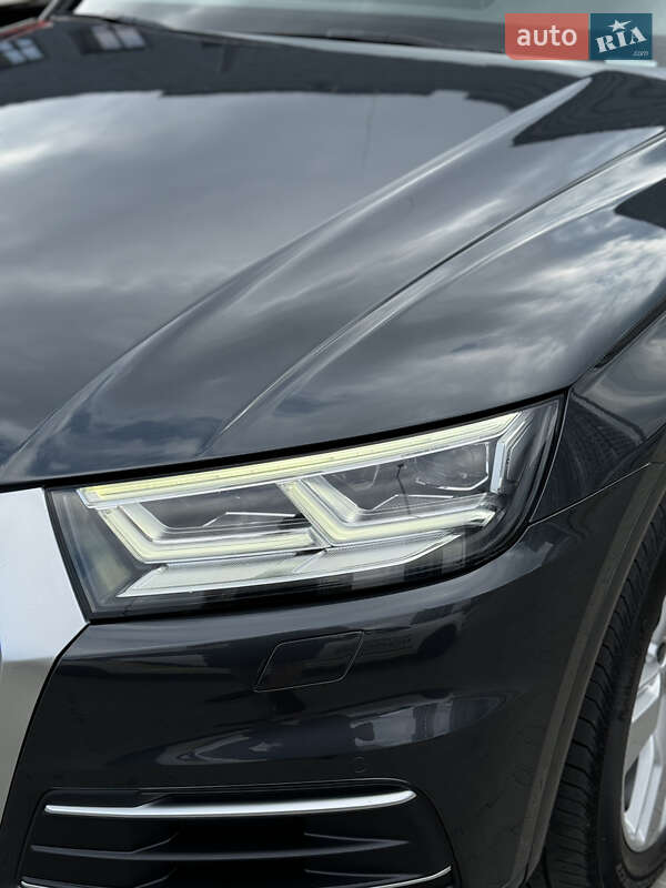 Внедорожник / Кроссовер Audi Q5 2019 в Киеве