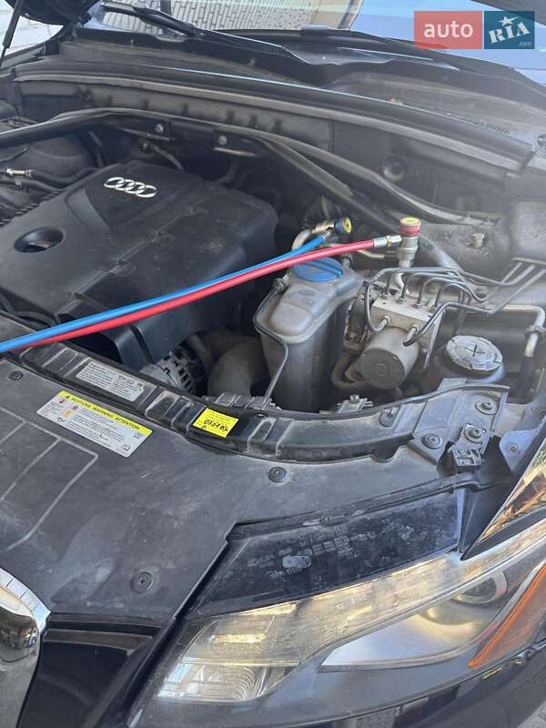 Внедорожник / Кроссовер Audi Q5 2011 в Львове фото 43 Внедорожник / Кроссовер Audi Q5 2011 в Львове