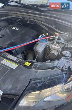 Внедорожник / Кроссовер Audi Q5 2011 в 