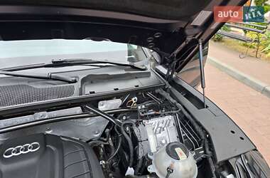 Внедорожник / Кроссовер Audi Q5 2019 в 