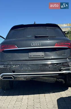 Внедорожник / Кроссовер Audi Q5 2023 в 