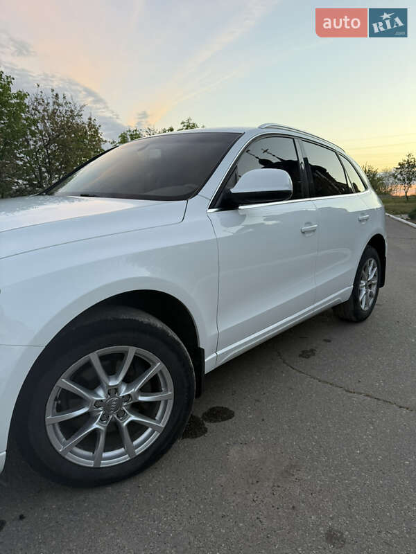 Внедорожник / Кроссовер Audi Q5 2010 в Харькове