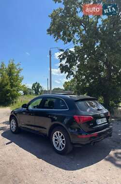 Внедорожник / Кроссовер Audi Q5 2010 в 