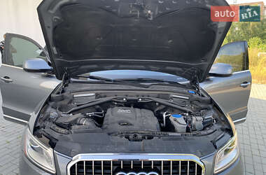 Внедорожник / Кроссовер Audi Q5 2017 в 