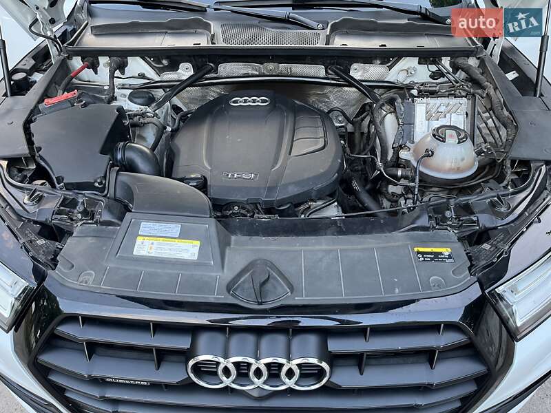 Внедорожник / Кроссовер Audi Q5 2019 в Белой Церкви