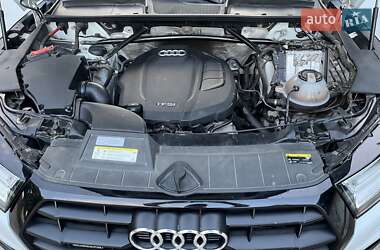 Внедорожник / Кроссовер Audi Q5 2019 в 