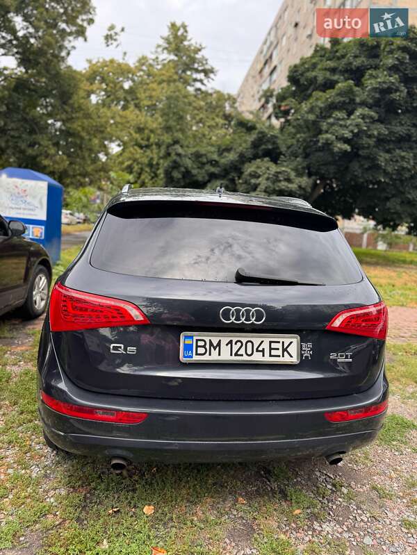 Внедорожник / Кроссовер Audi Q5 2011 в Киеве фото 4 Внедорожник / Кроссовер Audi Q5 2011 в Киеве