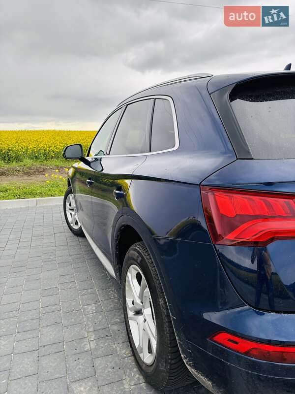 Внедорожник / Кроссовер Audi Q5 2019 в Львове фото 11 Внедорожник / Кроссовер Audi Q5 2019 в Львове