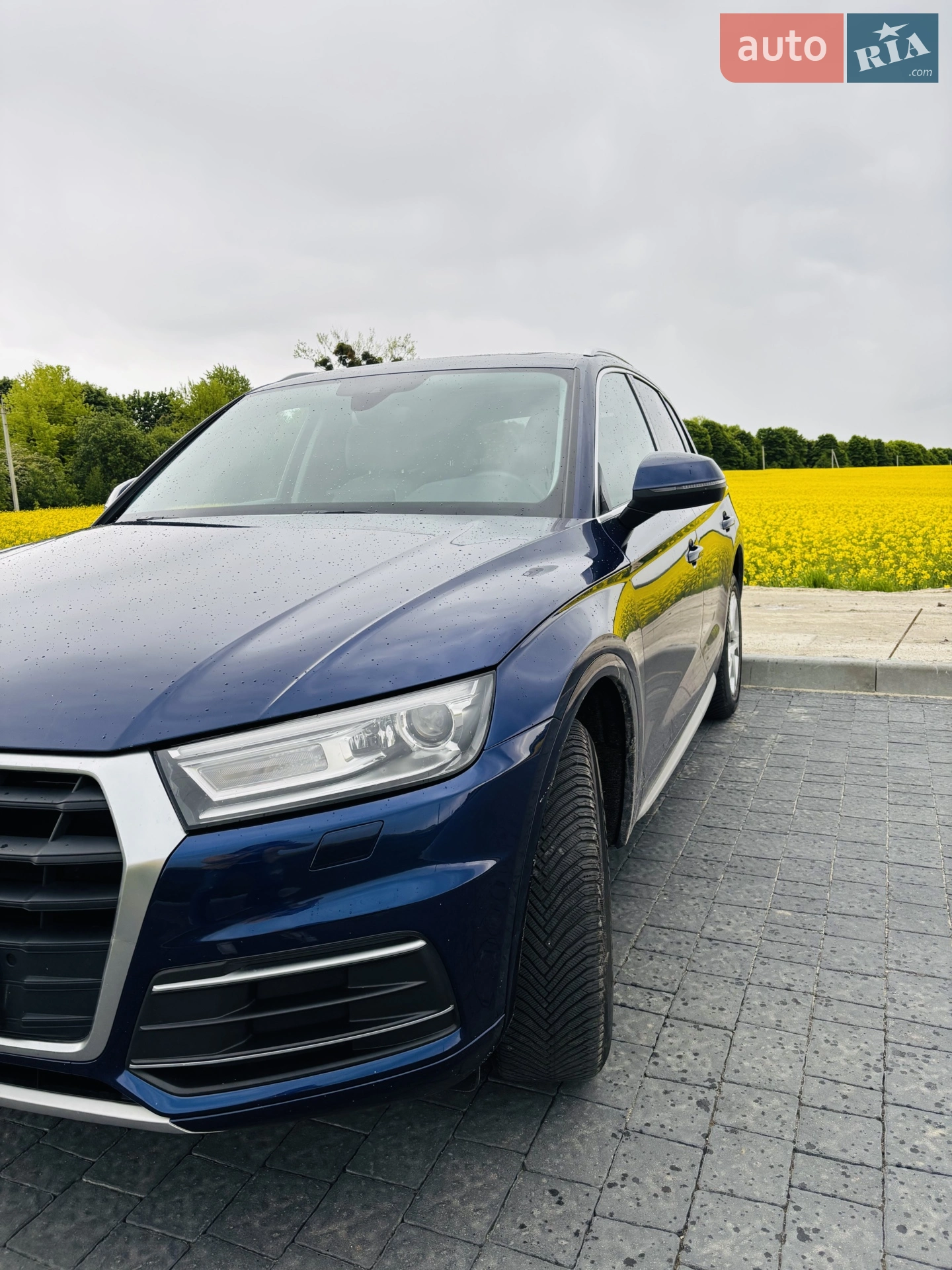 2019 Audi Q5 - мініатюра 2