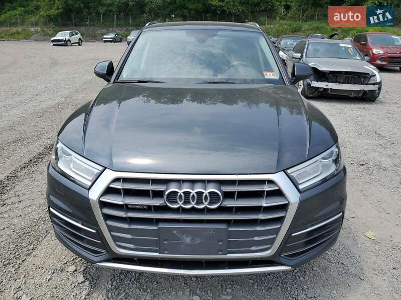 Внедорожник / Кроссовер Audi Q5 2018 в Житомире