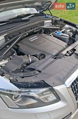 Внедорожник / Кроссовер Audi Q5 2009 в 
