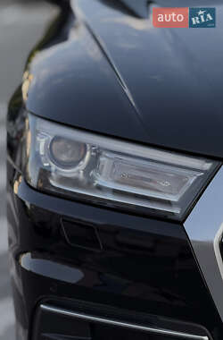 Внедорожник / Кроссовер Audi Q5 2019 в 