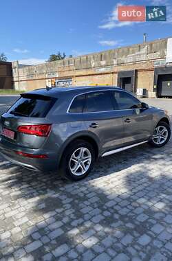 Внедорожник / Кроссовер Audi Q5 2019 в 