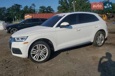 Внедорожник / Кроссовер Audi Q5 2019 в Ивано-Франковске