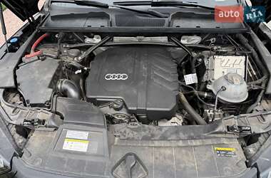 Внедорожник / Кроссовер Audi Q5 2023 в 
