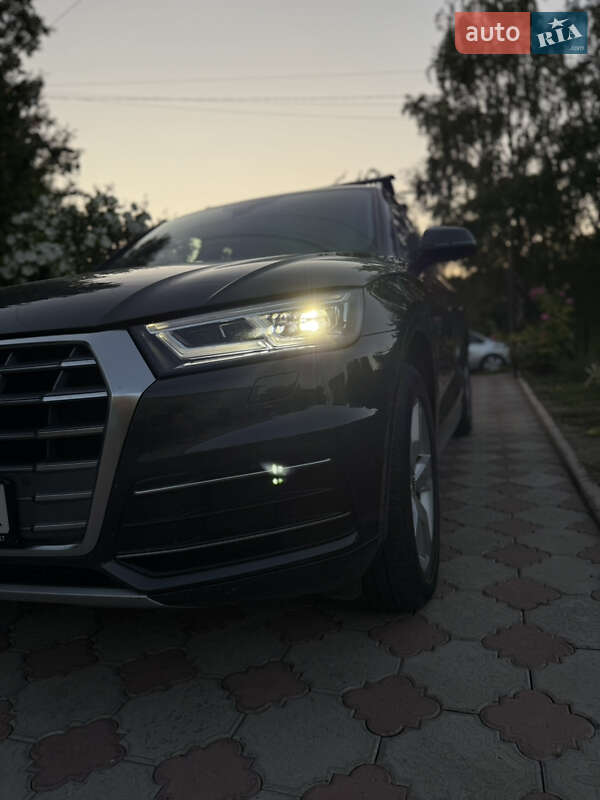 Позашляховик / Кросовер Audi Q5 2019 в Золочеві фото 10 Позашляховик / Кросовер Audi Q5 2019 в Золочеві