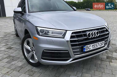 Внедорожник / Кроссовер Audi Q5 2019 в 