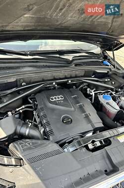 Внедорожник / Кроссовер Audi Q5 2016 в 