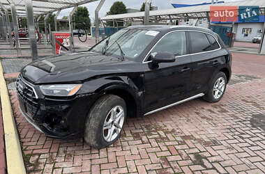 Внедорожник / Кроссовер Audi Q5 2023 в 