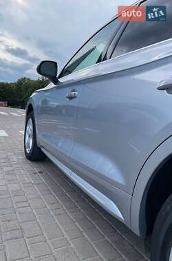 Внедорожник / Кроссовер Audi Q5 2019 в 