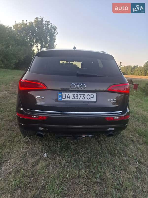 Внедорожник / Кроссовер Audi Q5 2014 в Кропивницком