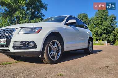 Внедорожник / Кроссовер Audi Q5 2016 в 