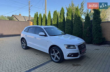 Внедорожник / Кроссовер Audi Q5 2016 в 