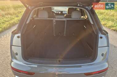 Внедорожник / Кроссовер Audi Q5 2023 в 