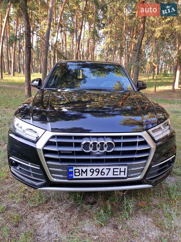 Внедорожник / Кроссовер Audi Q5 2019 в Ахтырке