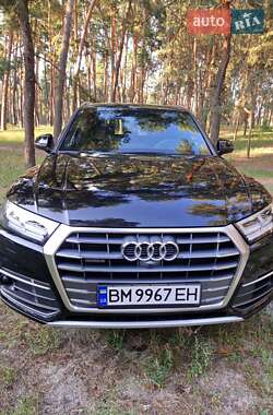 Внедорожник / Кроссовер Audi Q5 2019 в 
