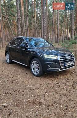 Внедорожник / Кроссовер Audi Q5 2019 в 