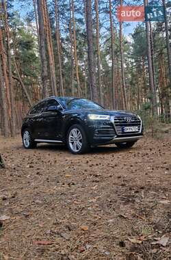 Внедорожник / Кроссовер Audi Q5 2019 в 