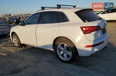 Внедорожник / Кроссовер Audi Q5 2019 в 
