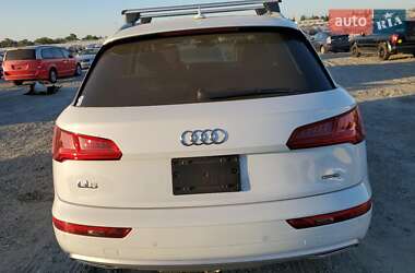 Внедорожник / Кроссовер Audi Q5 2019 в 