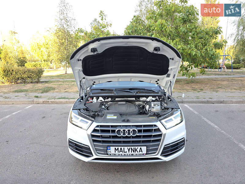 Внедорожник / Кроссовер Audi Q5 2019 в Ужгороде