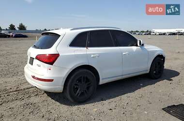 Внедорожник / Кроссовер Audi Q5 2013 в 