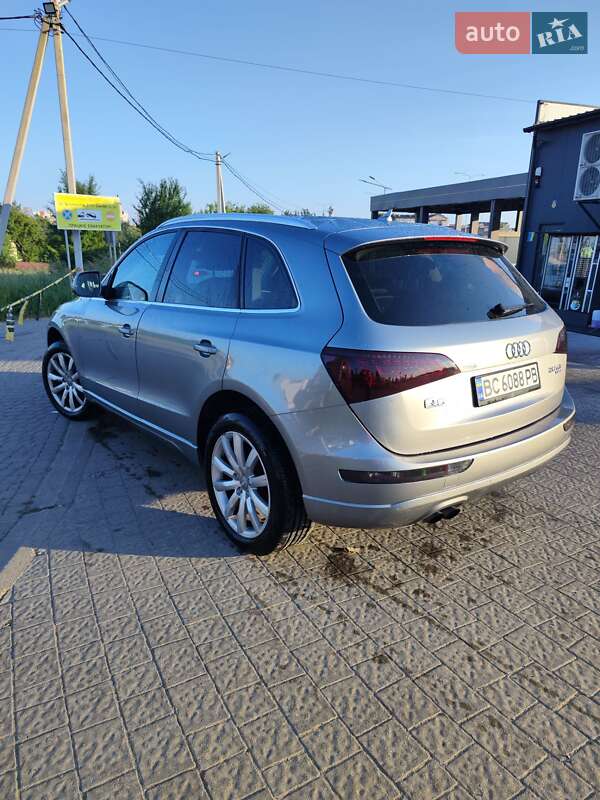 Внедорожник / Кроссовер Audi Q5 2010 в Львове
