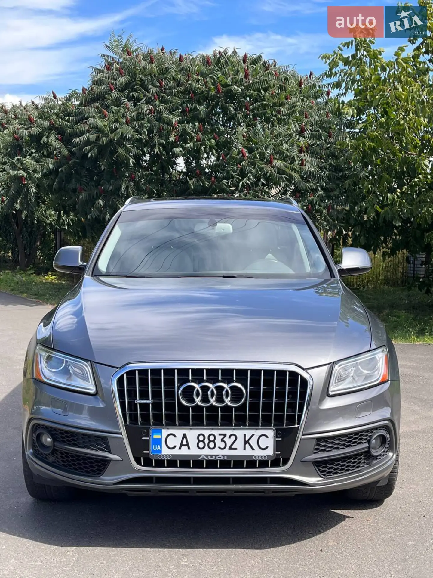 2015 Audi Q5 - фото 1