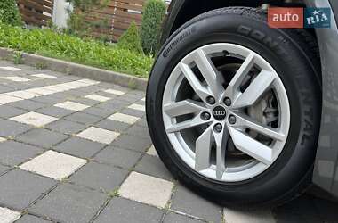 Внедорожник / Кроссовер Audi Q5 2023 в 