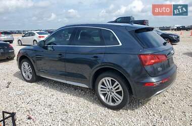 Внедорожник / Кроссовер Audi Q5 2019 в 