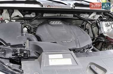 Внедорожник / Кроссовер Audi Q5 2019 в 