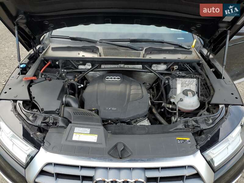 Внедорожник / Кроссовер Audi Q5 2019 в Киеве