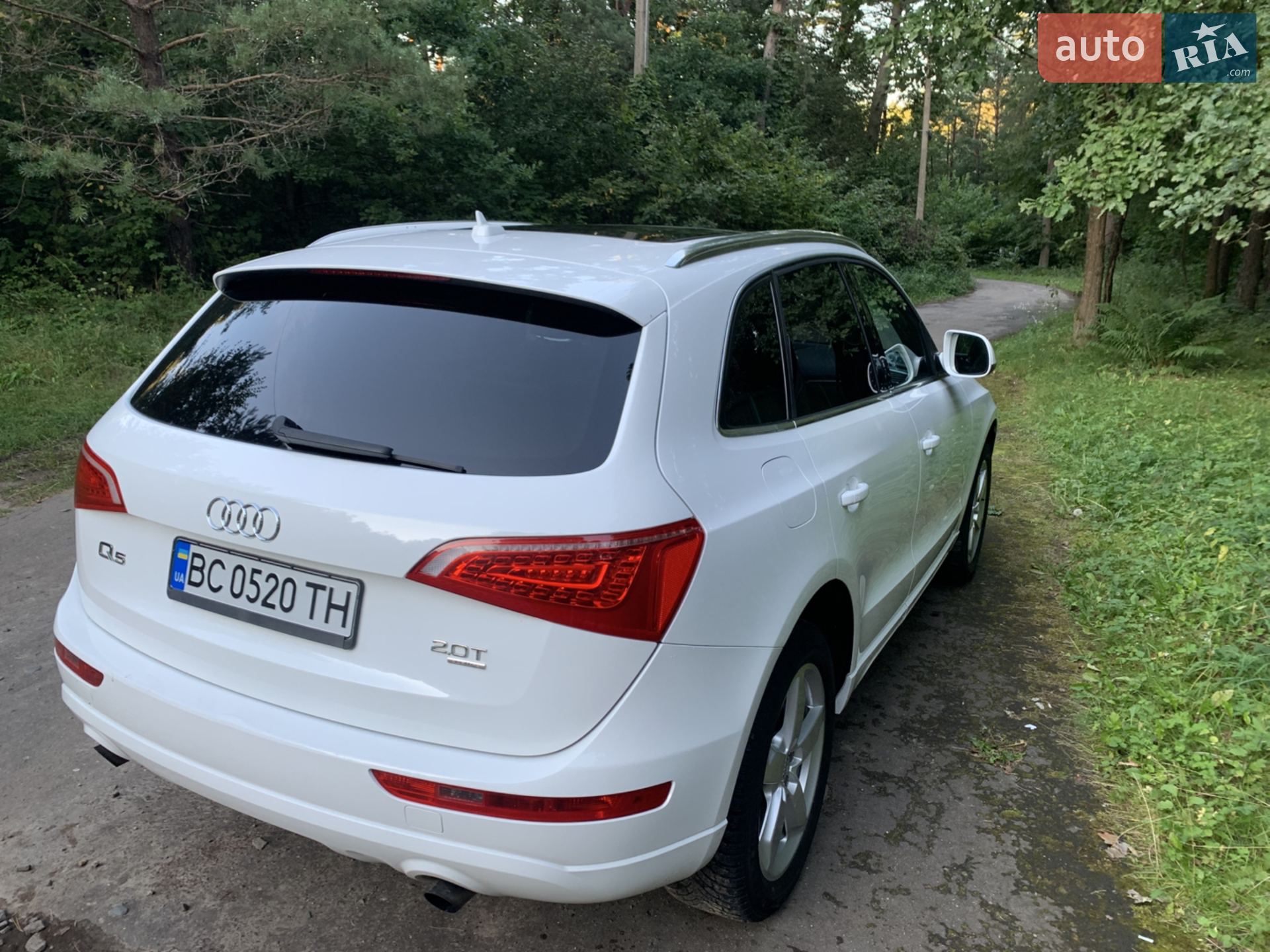 2010 Audi Q5 - мініатюра 3