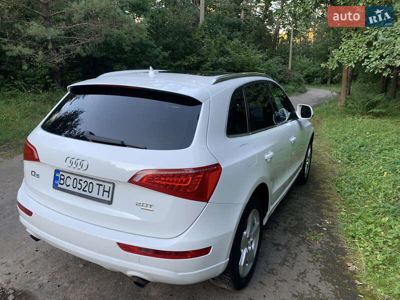 Внедорожник / Кроссовер Audi Q5 2010 в Судовой Вишне фото 3 Внедорожник / Кроссовер Audi Q5 2010 в Судовой Вишне